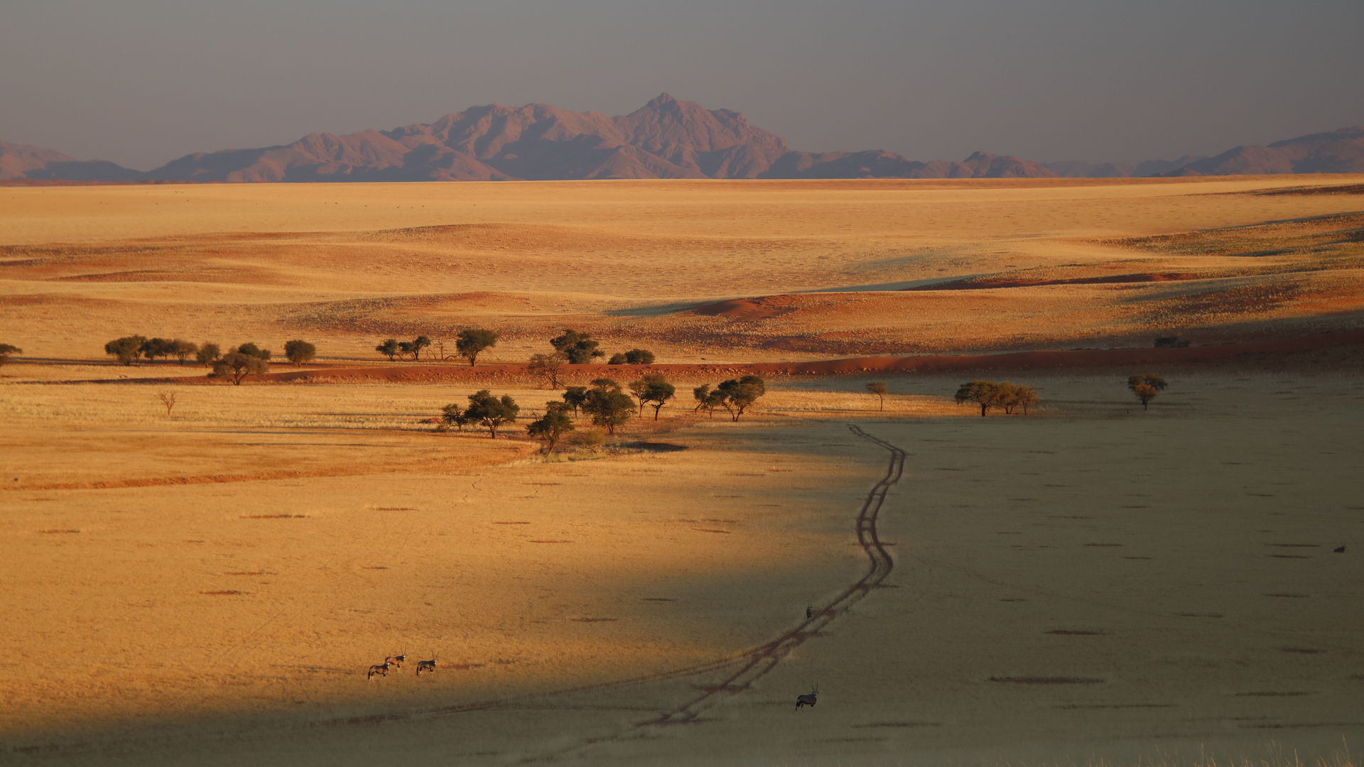 Namibie 3 weken - Ontdek Namibie in 21 dagen - Matoke Tours