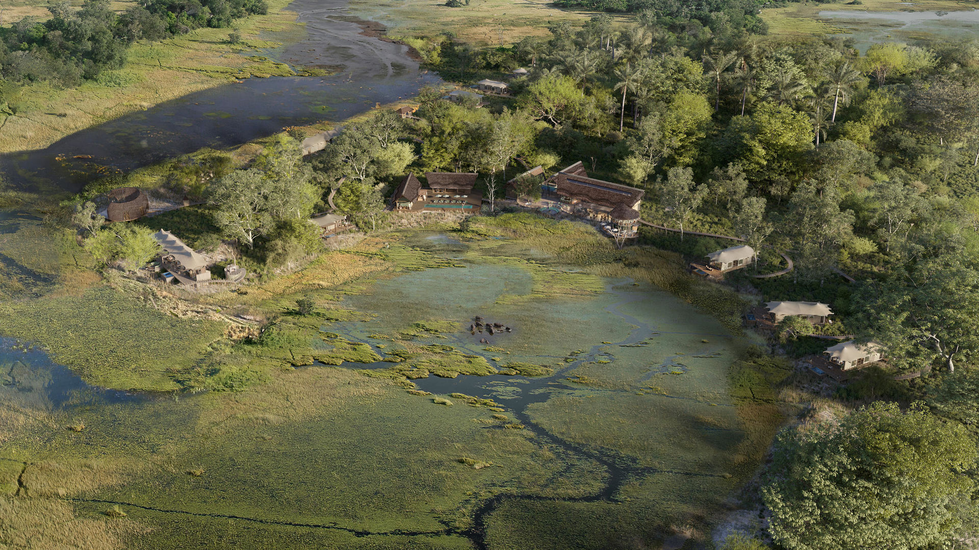 Atzaró Camp Okavango » Matoke