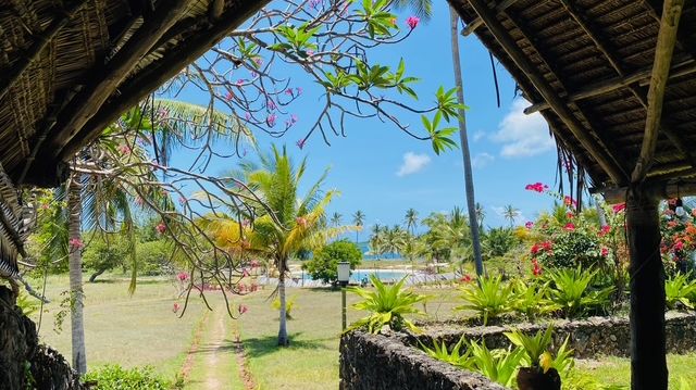 Basecamp Mafia Island » Tanzania » Matoke Tours