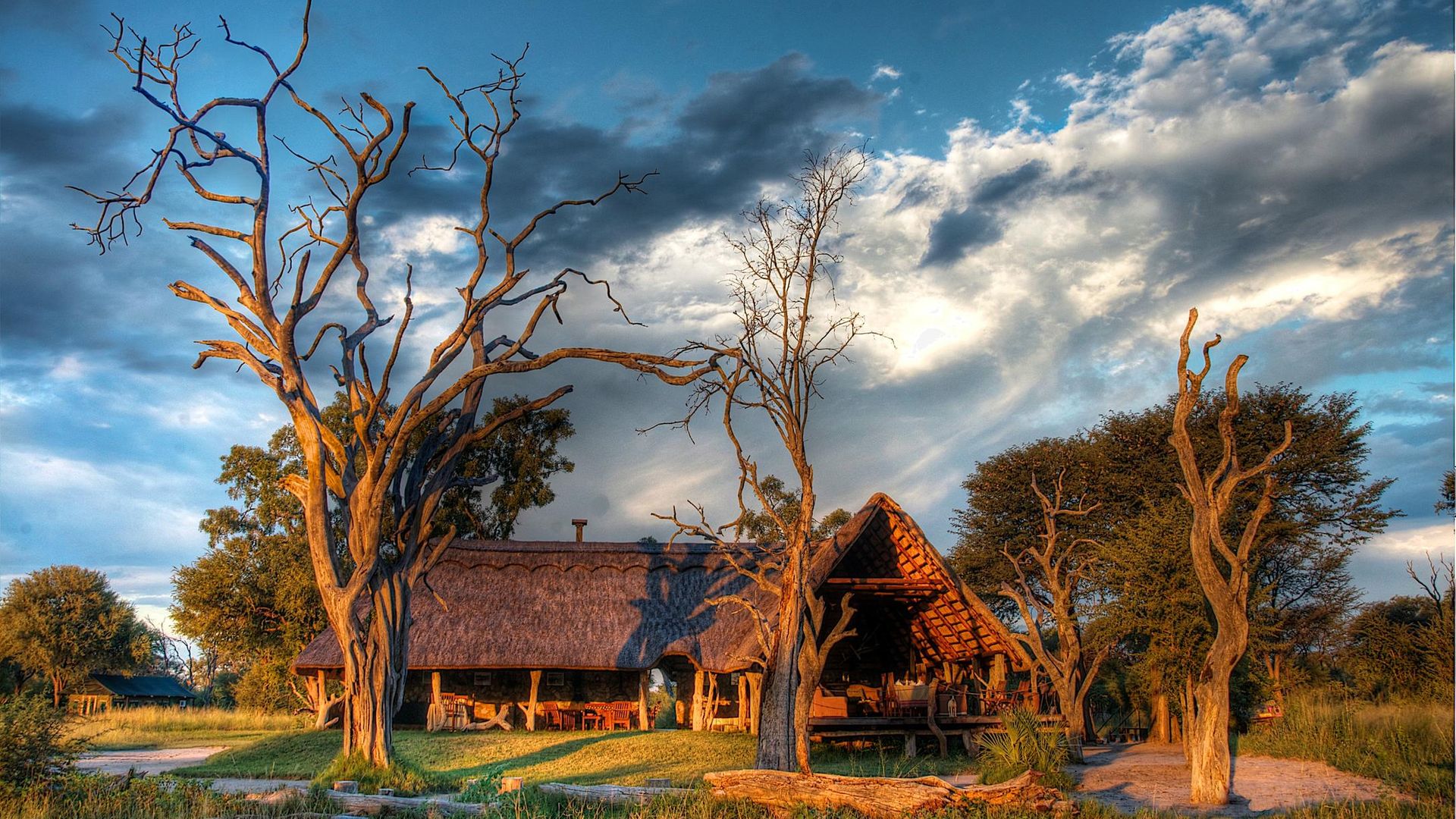 Bomani Tented Lodge » Matoke