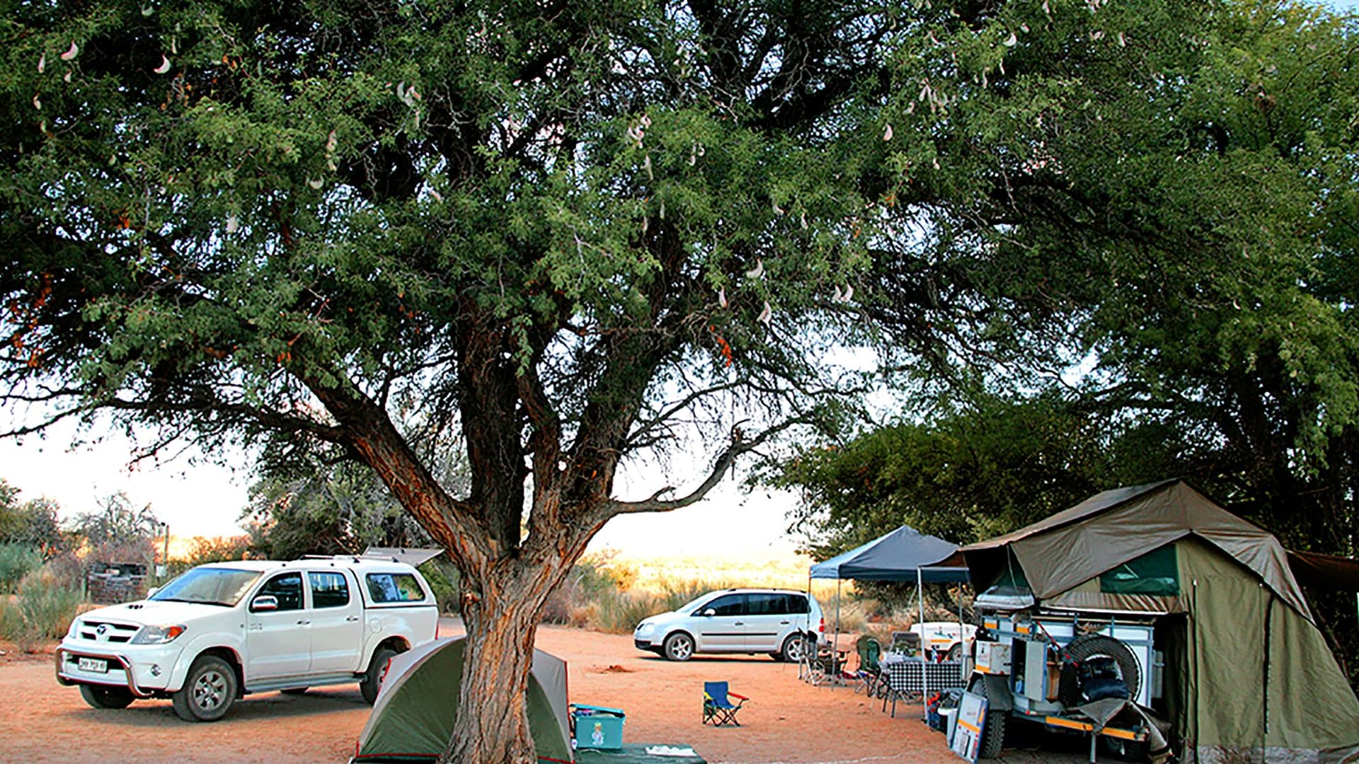 Canyon Roadhouse Camping » Matoke