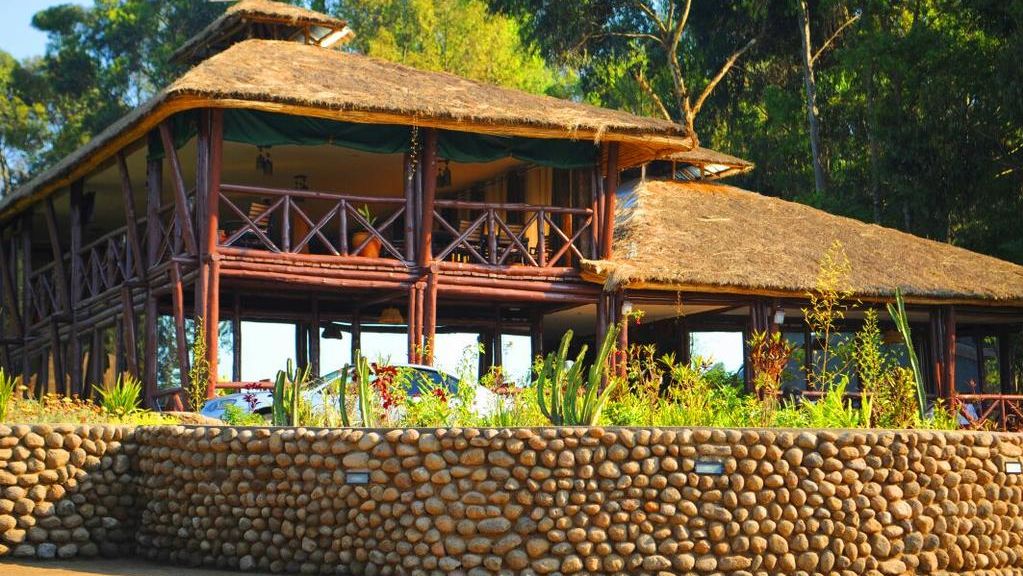 DaVinci Gorilla Lodge » Matoke