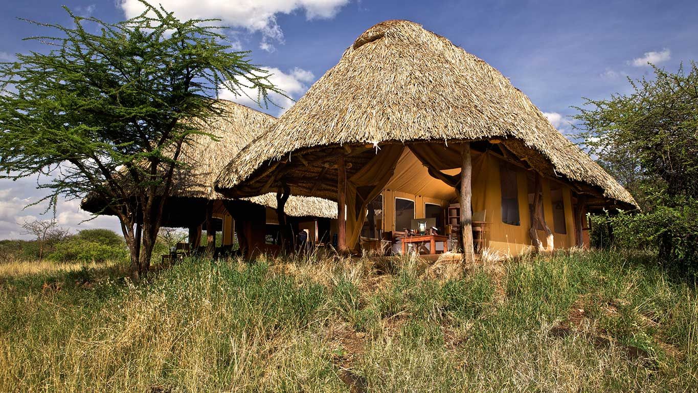 Lewa Safari Camp » Matoke