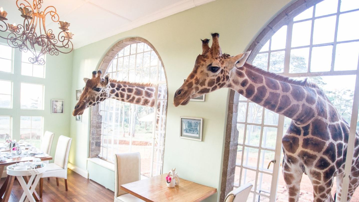 Giraffe Manor » Matoke