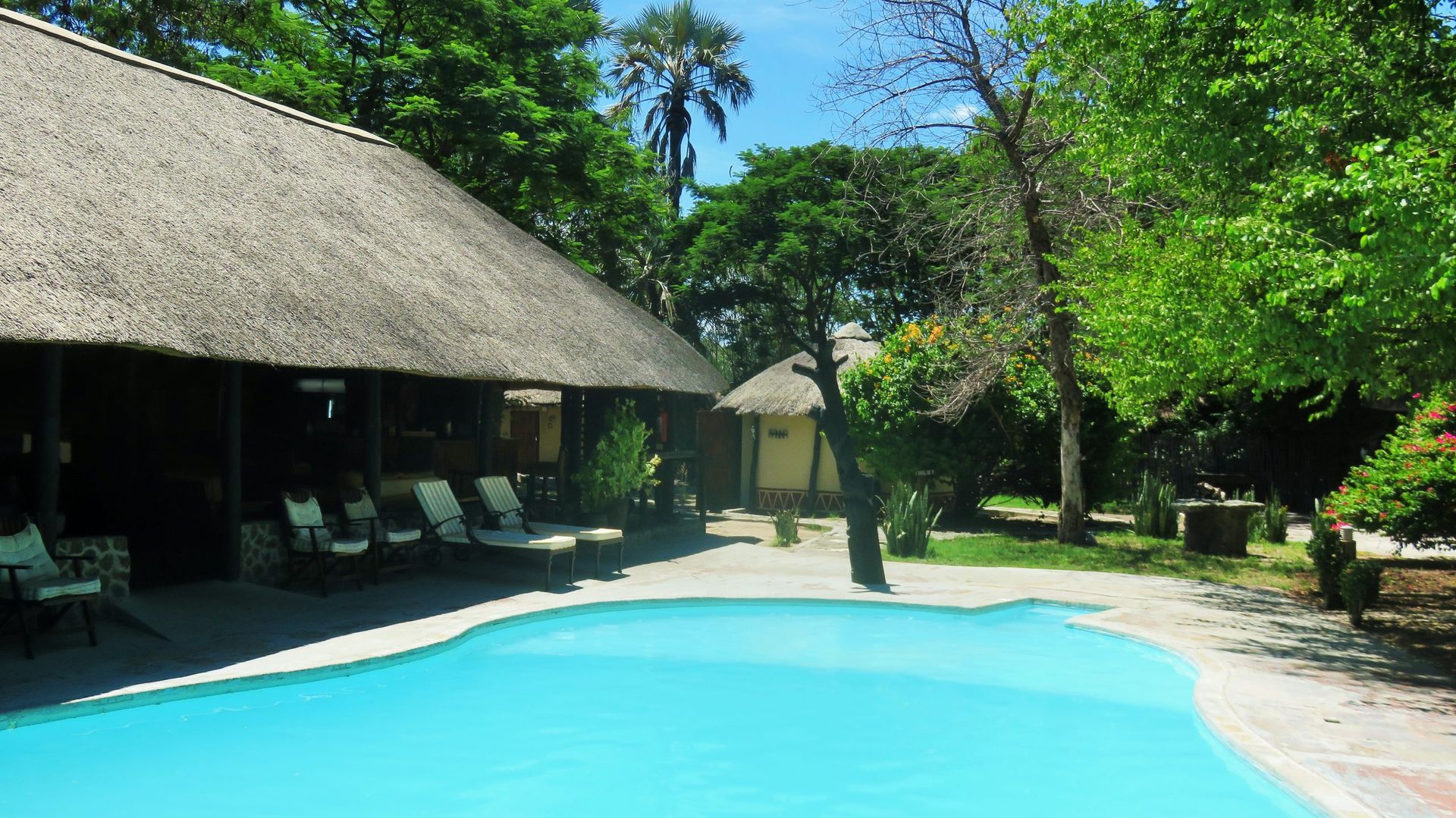 Gweta Lodge » Matoke