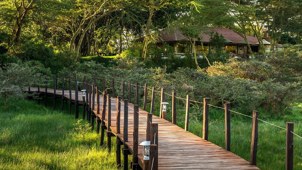 Hatari Lodge » Matoke