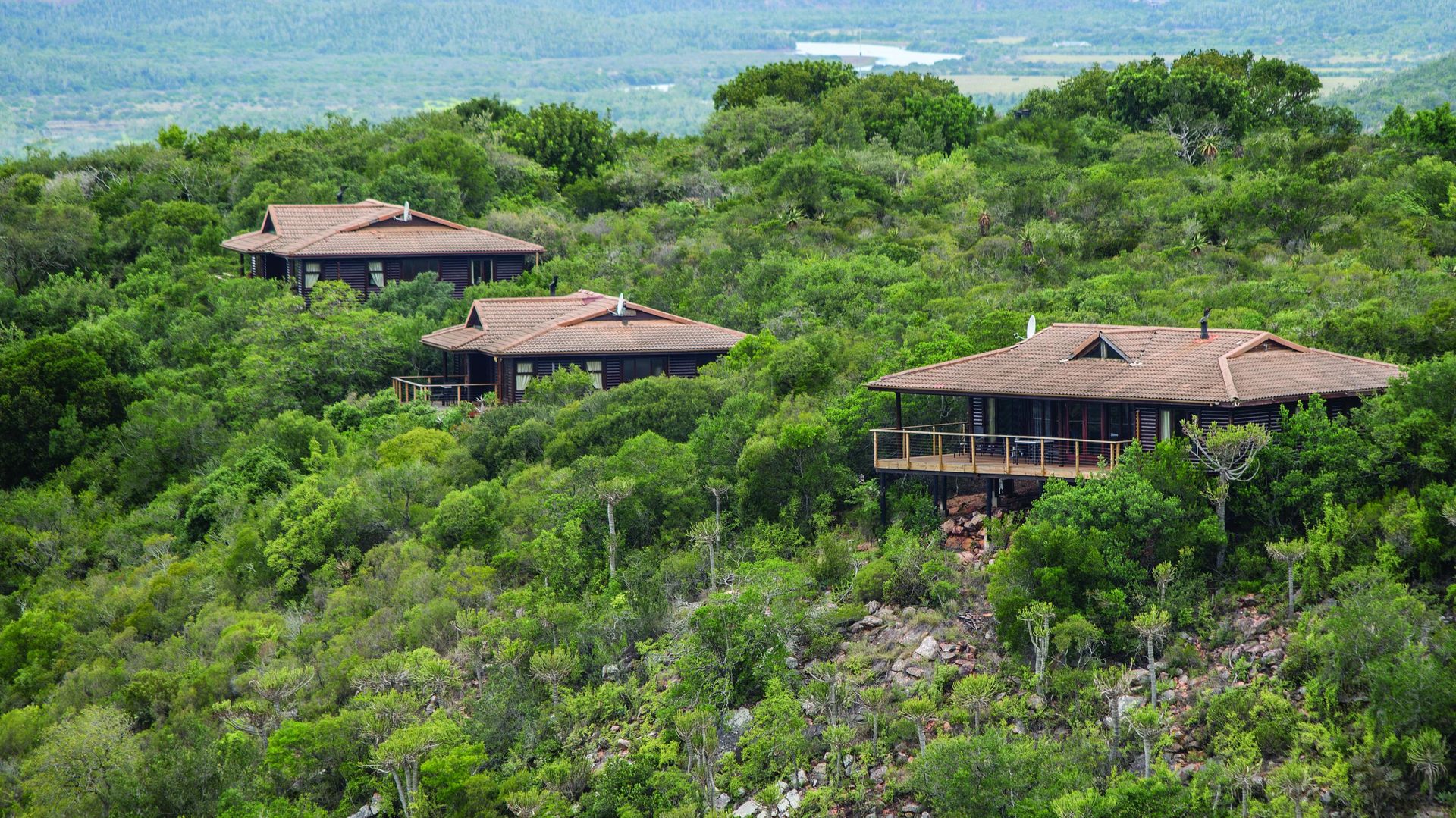 Kariega Main Lodge » Matoke