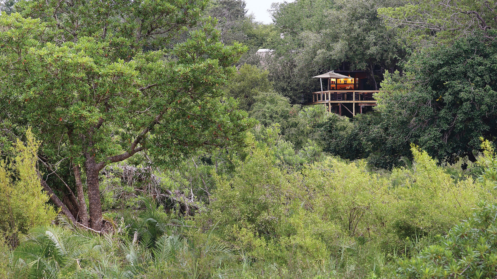 Londolozi Tree Camp » Matoke