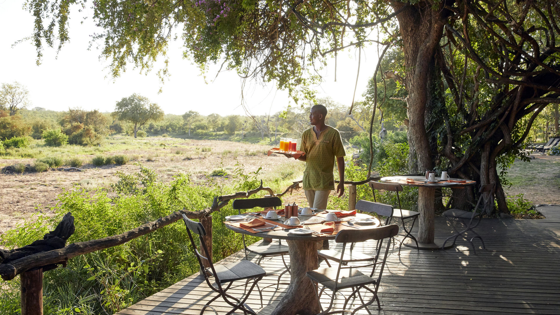 Motswari Safari Lodge » Matoke