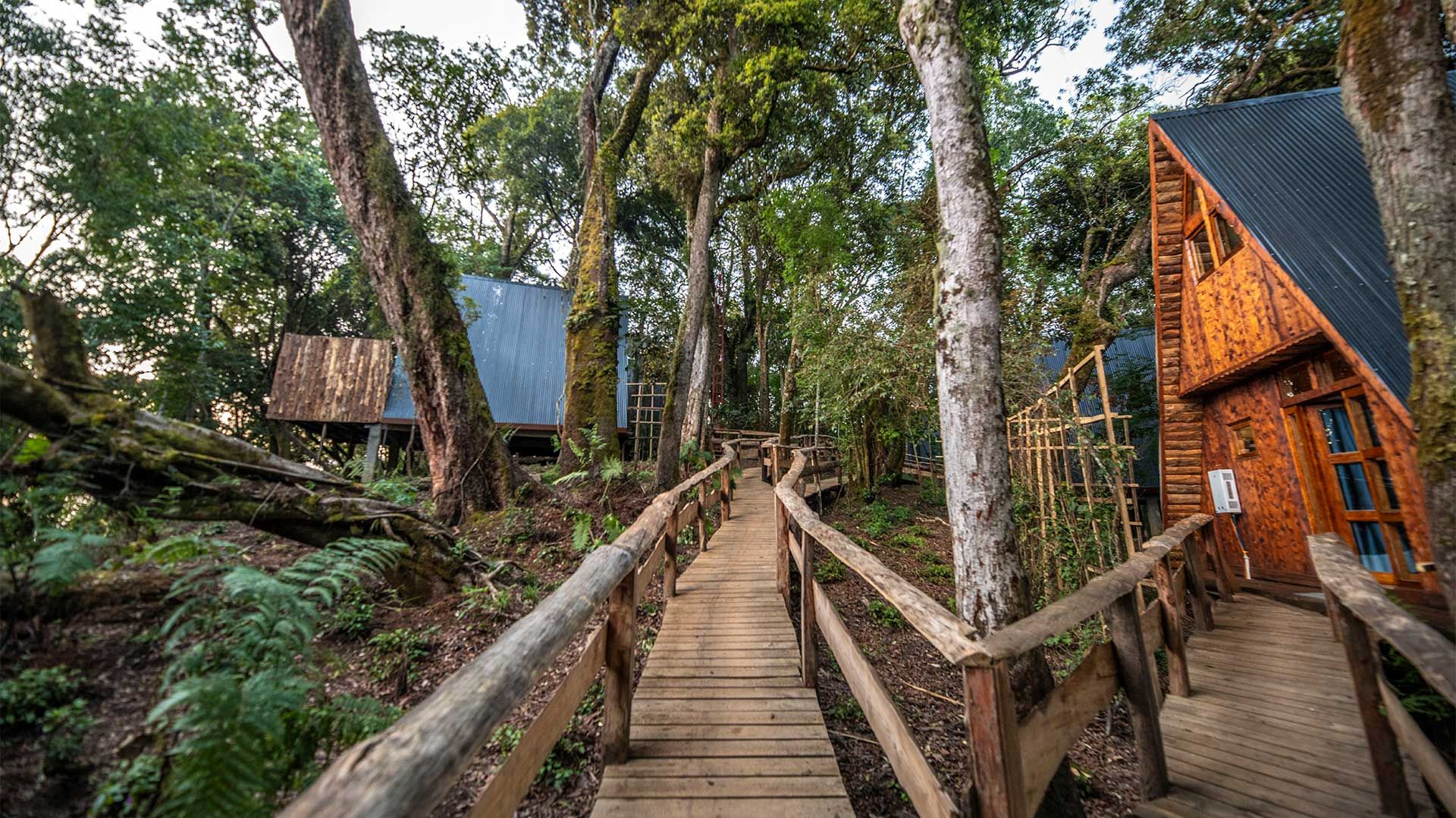 Munazi Lodge » Rwanda » Matoke Tours