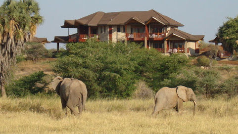 Samburu Simba Lodge » Matoke