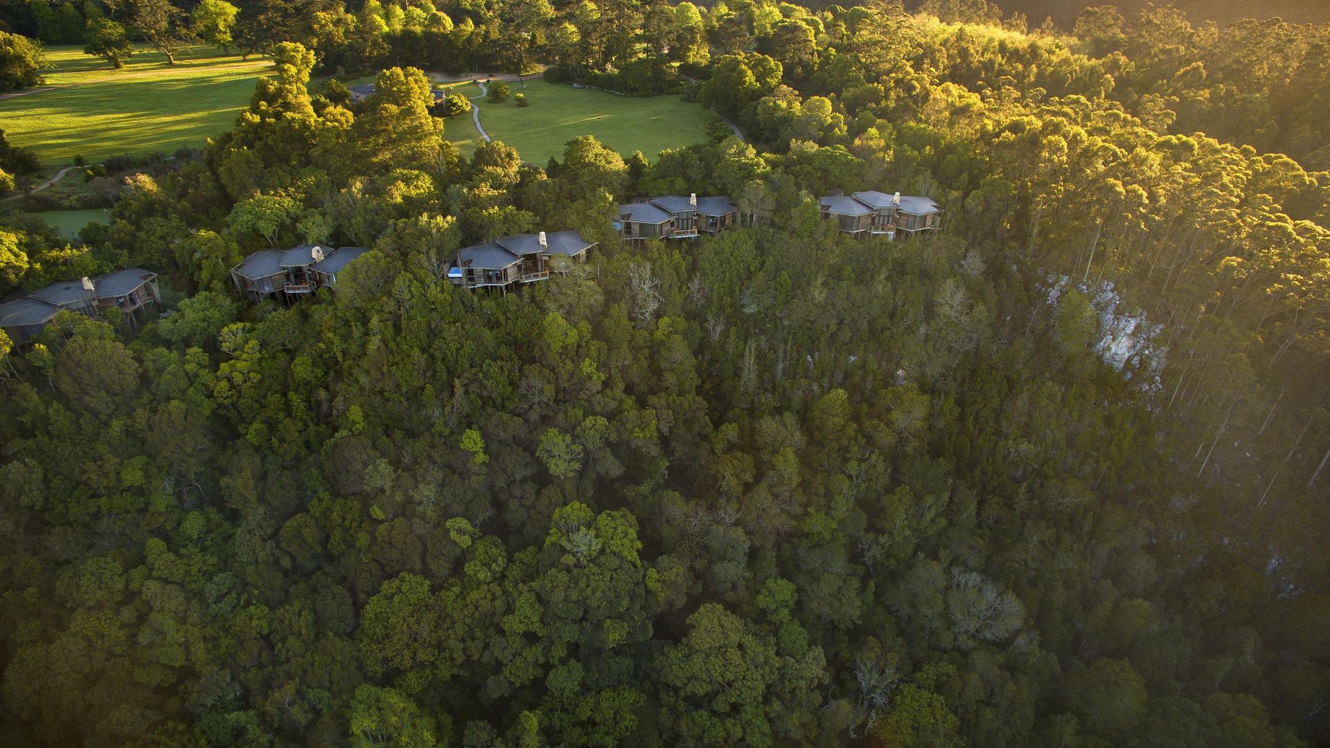 Tsala Treetop Lodge » Matoke