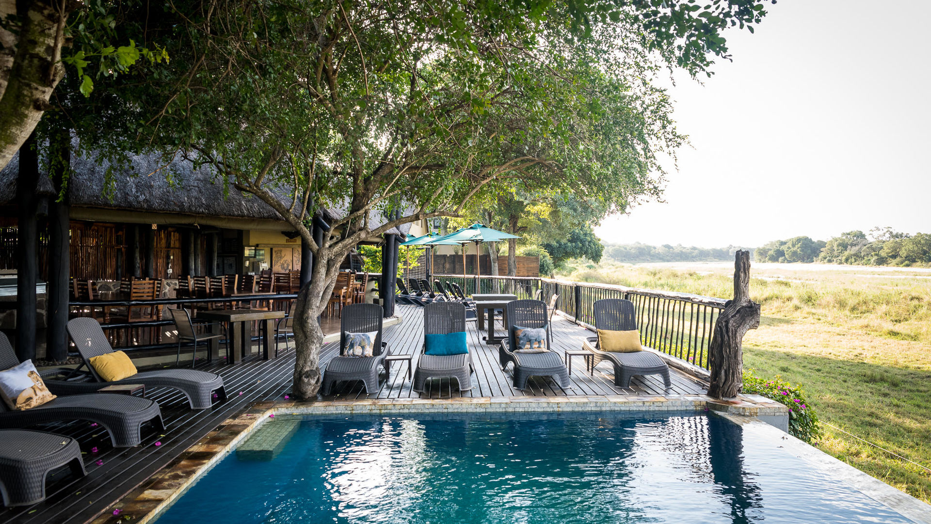 Umkumbe Safari Lodge » Matoke