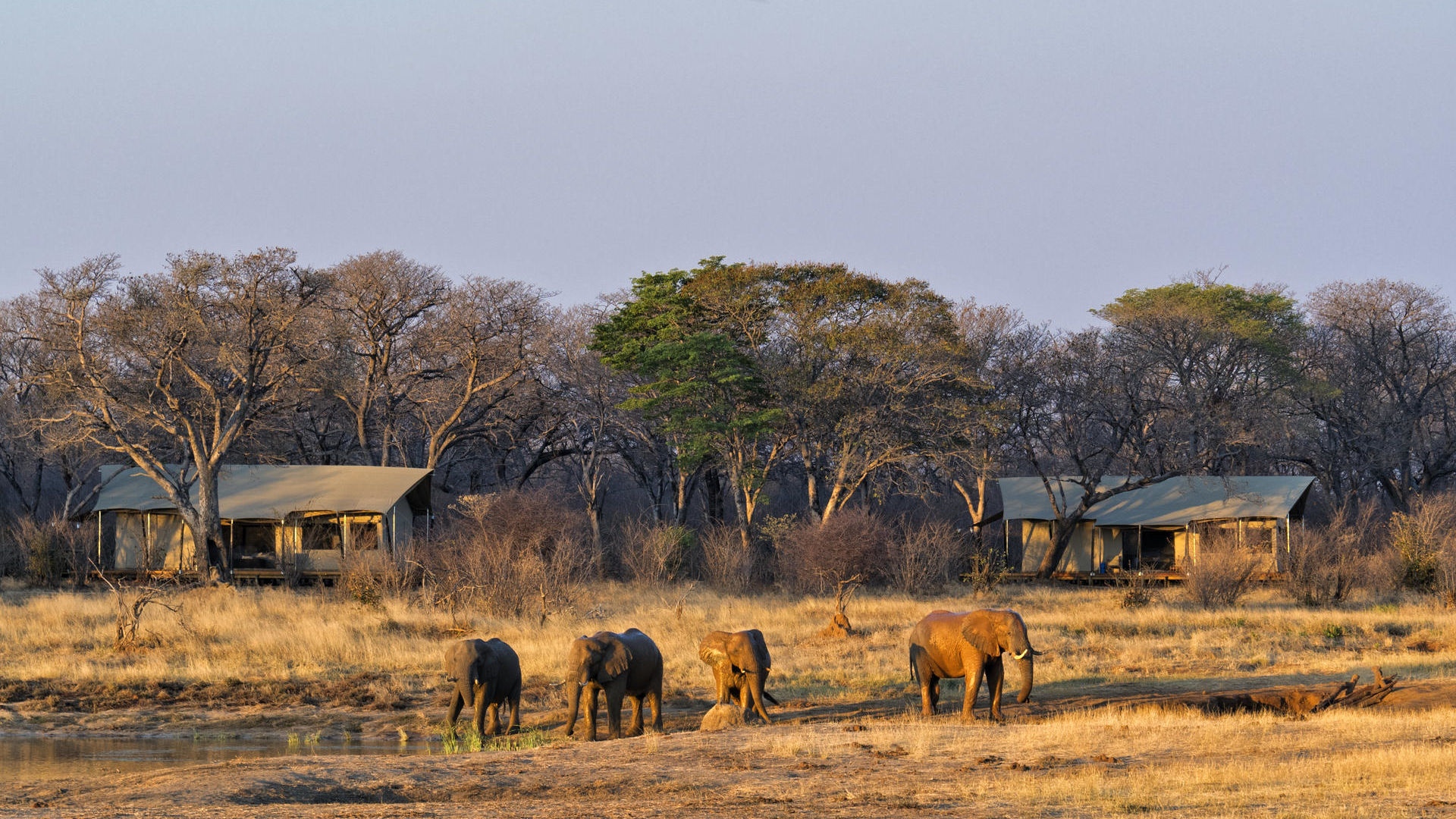 Rondreis Zimbabwe en Botswana - Matoke Tours