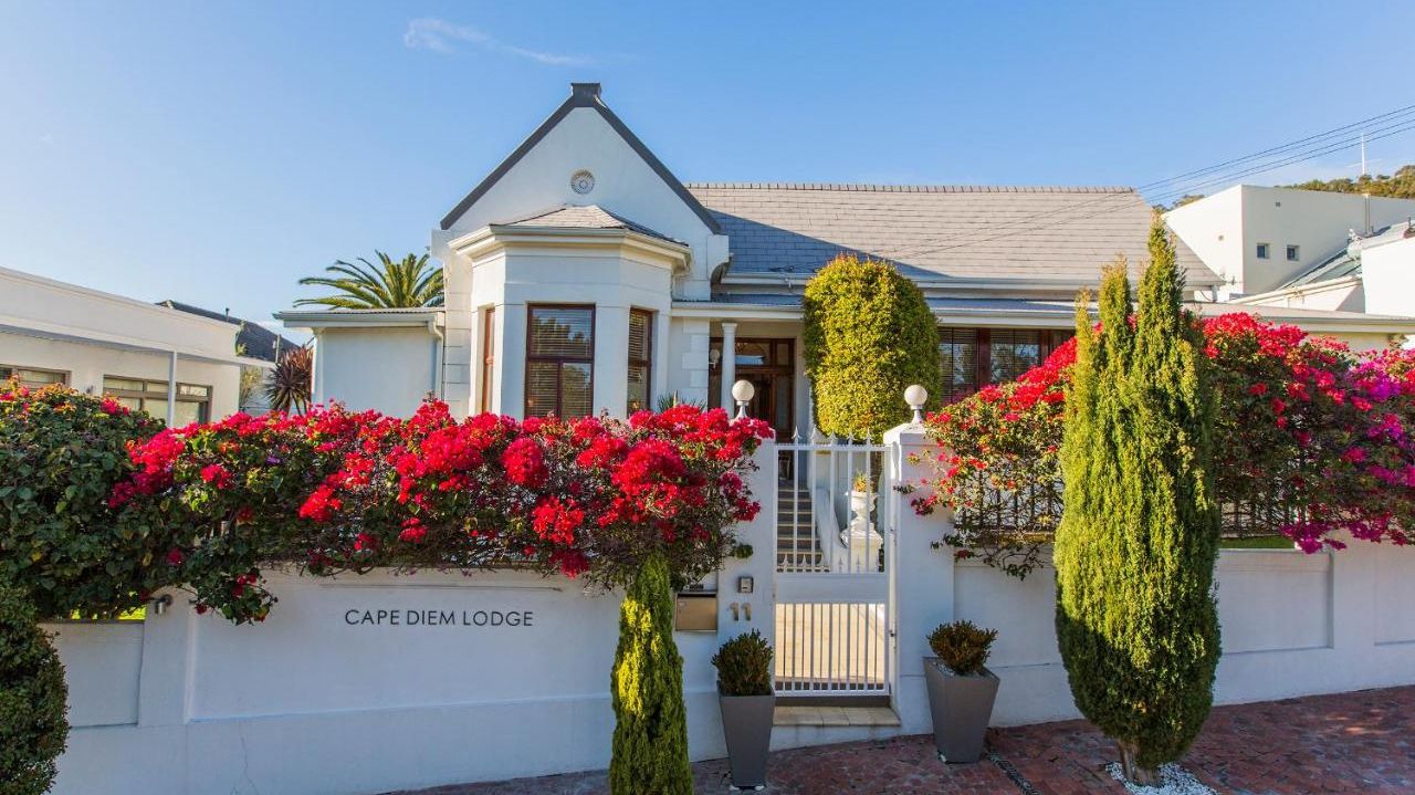 Cape Diem Lodge » Matoke