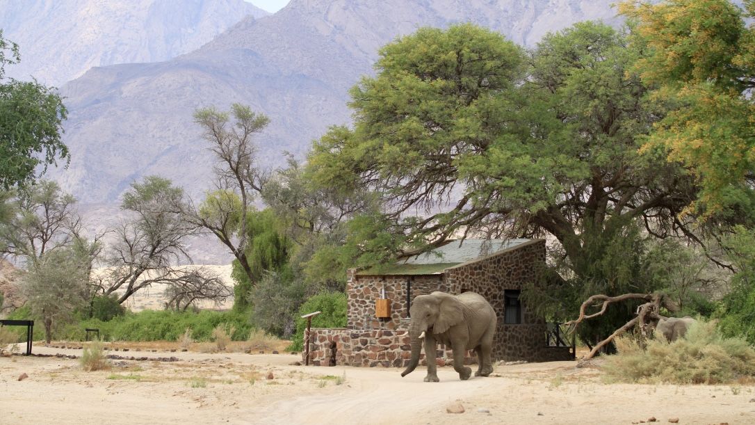 Brandberg White Lady Lodge » Matoke