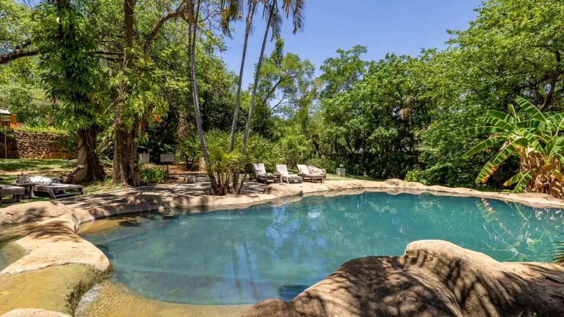 Gecko Lodge » Zuid Afrika » Matoke Tours