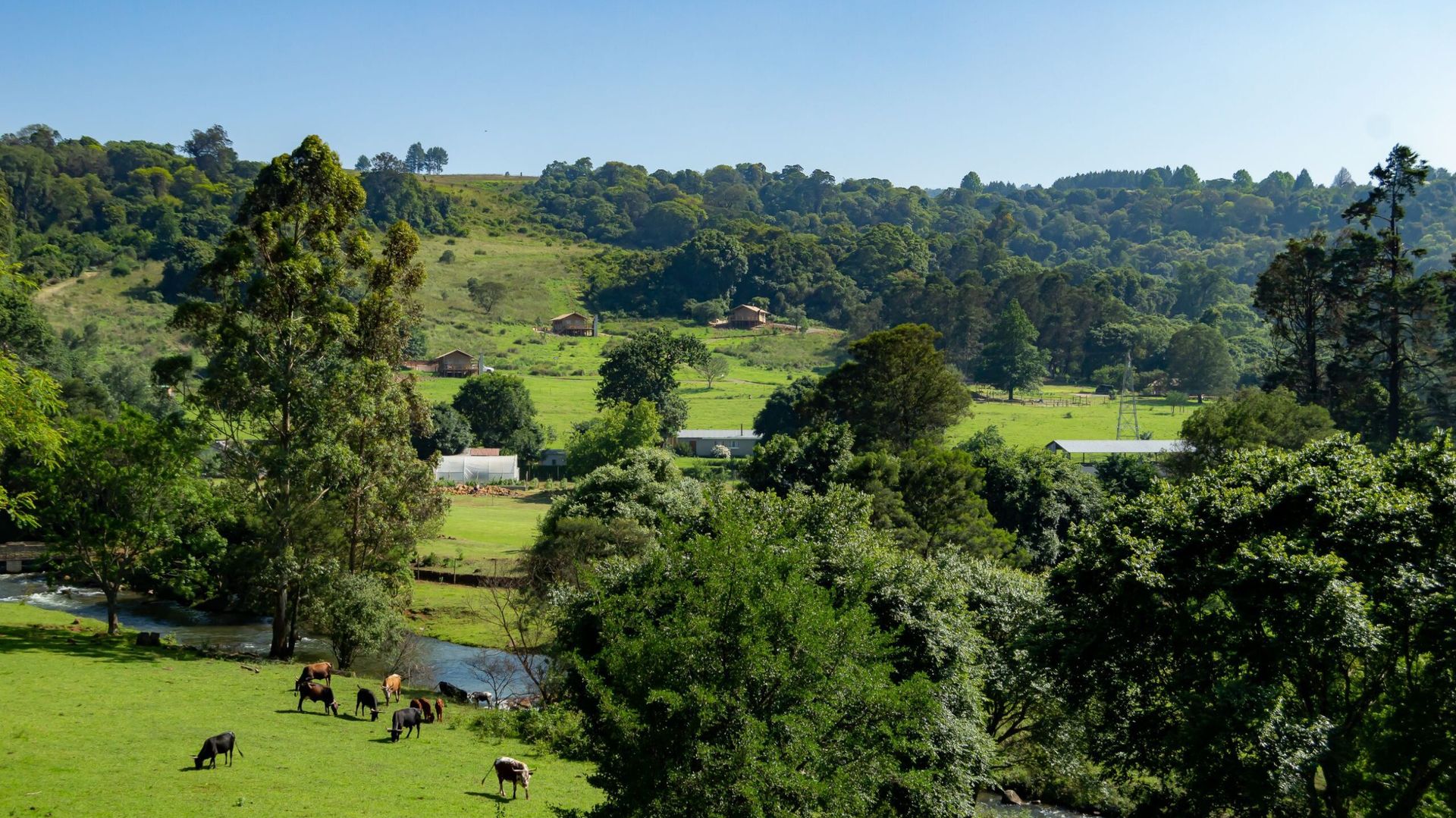 Africamps Gowan Valley » Matoke