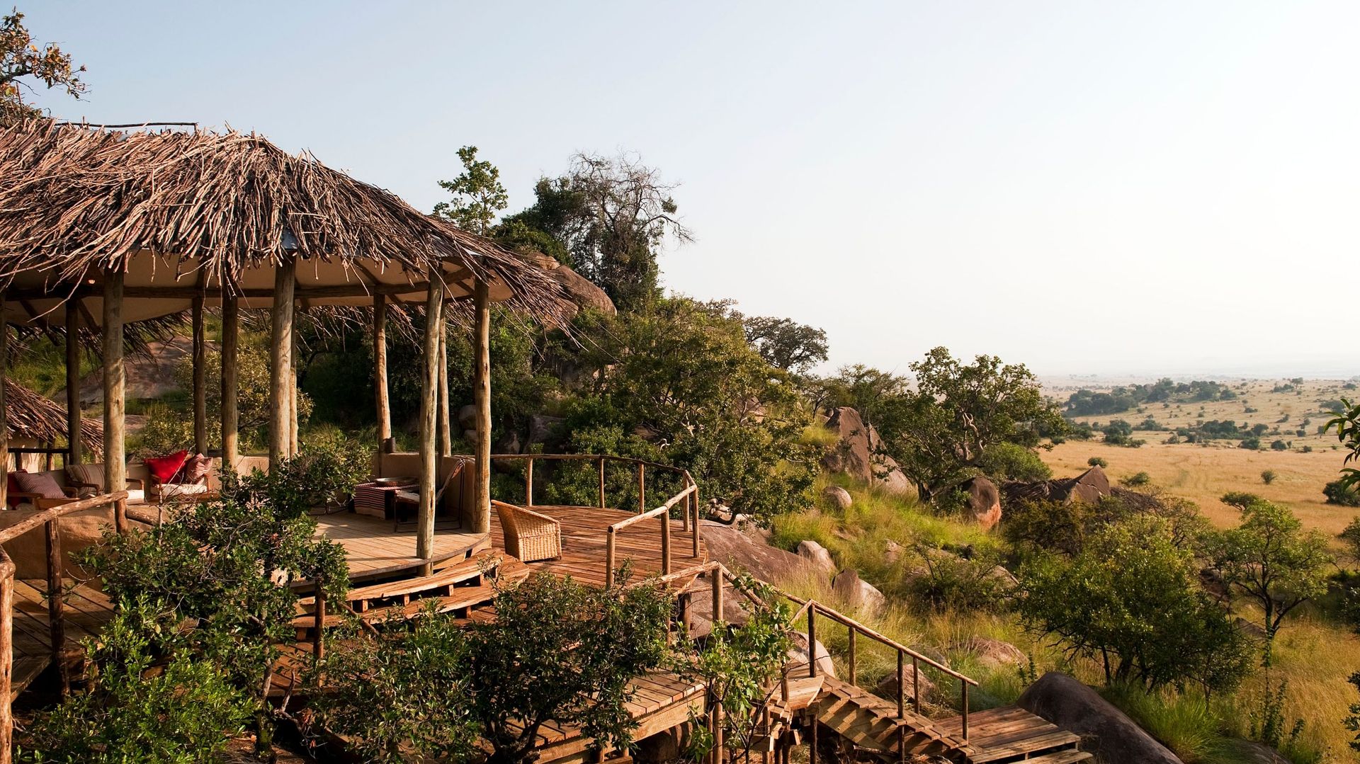 Nomad Lamai Serengeti » Matoke