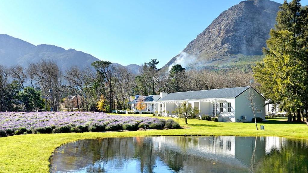 Lavender Farm Guest House » Matoke