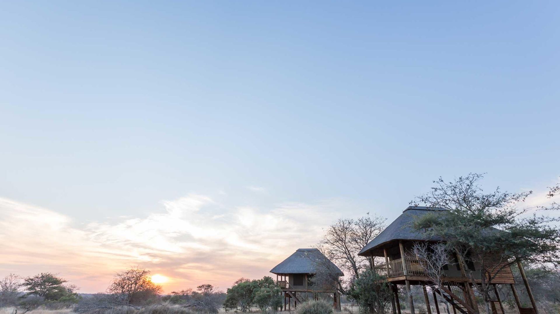 nThambo Tree Camp » Matoke
