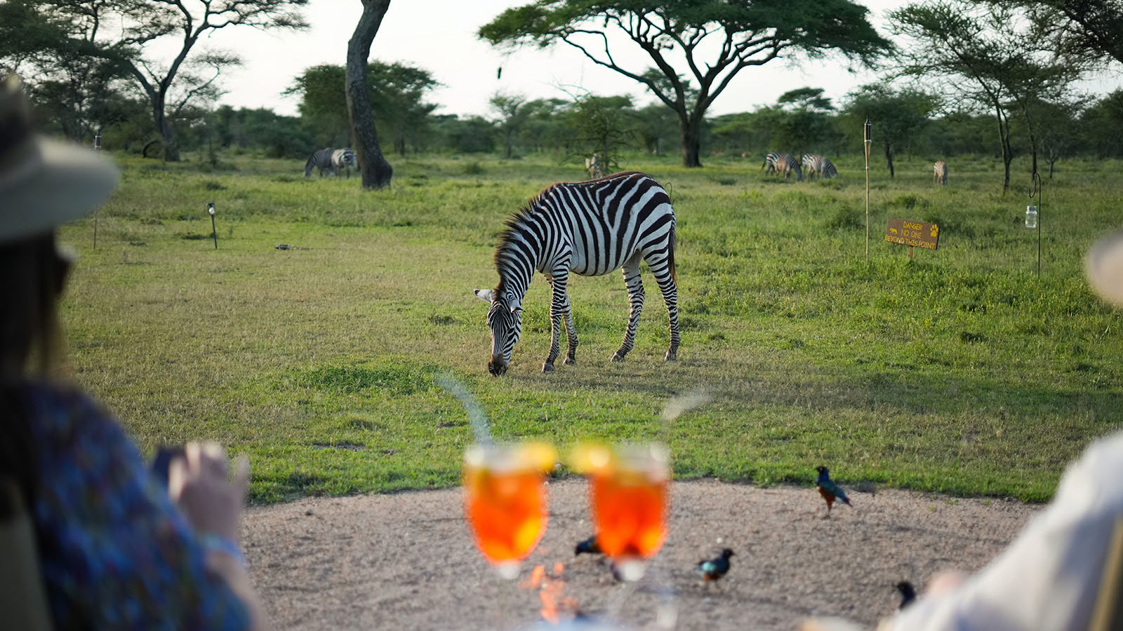 Ndutu Safari Lodge » Matoke