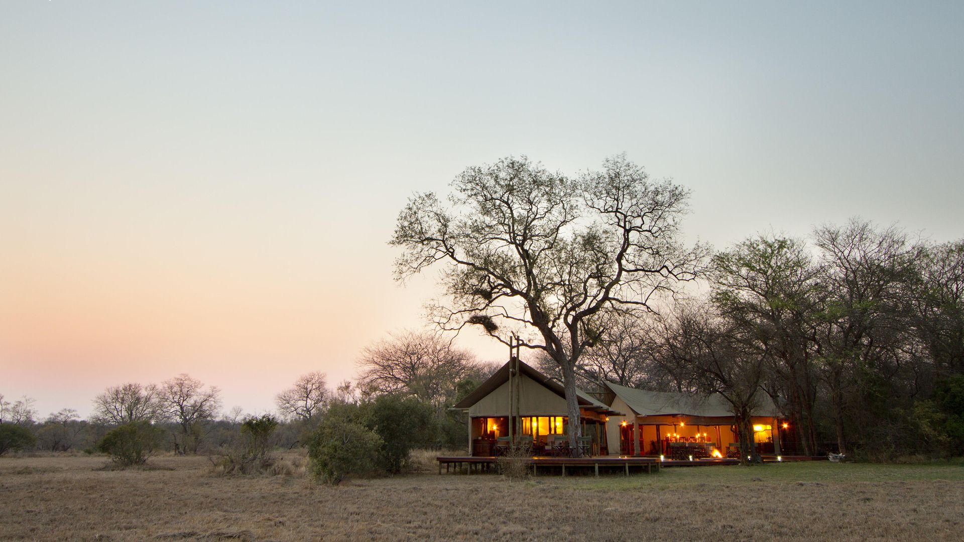 Rhino Walking Safari Plains Camp » Matoke
