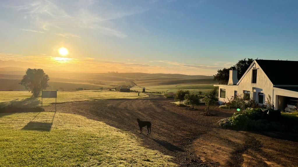 Skeiding Guest Farm » Matoke