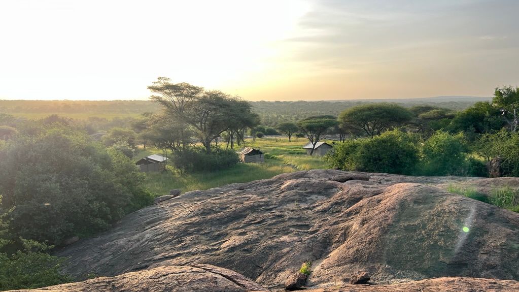 Wayo Little Green Camp » Tanzania » Matoke Tours