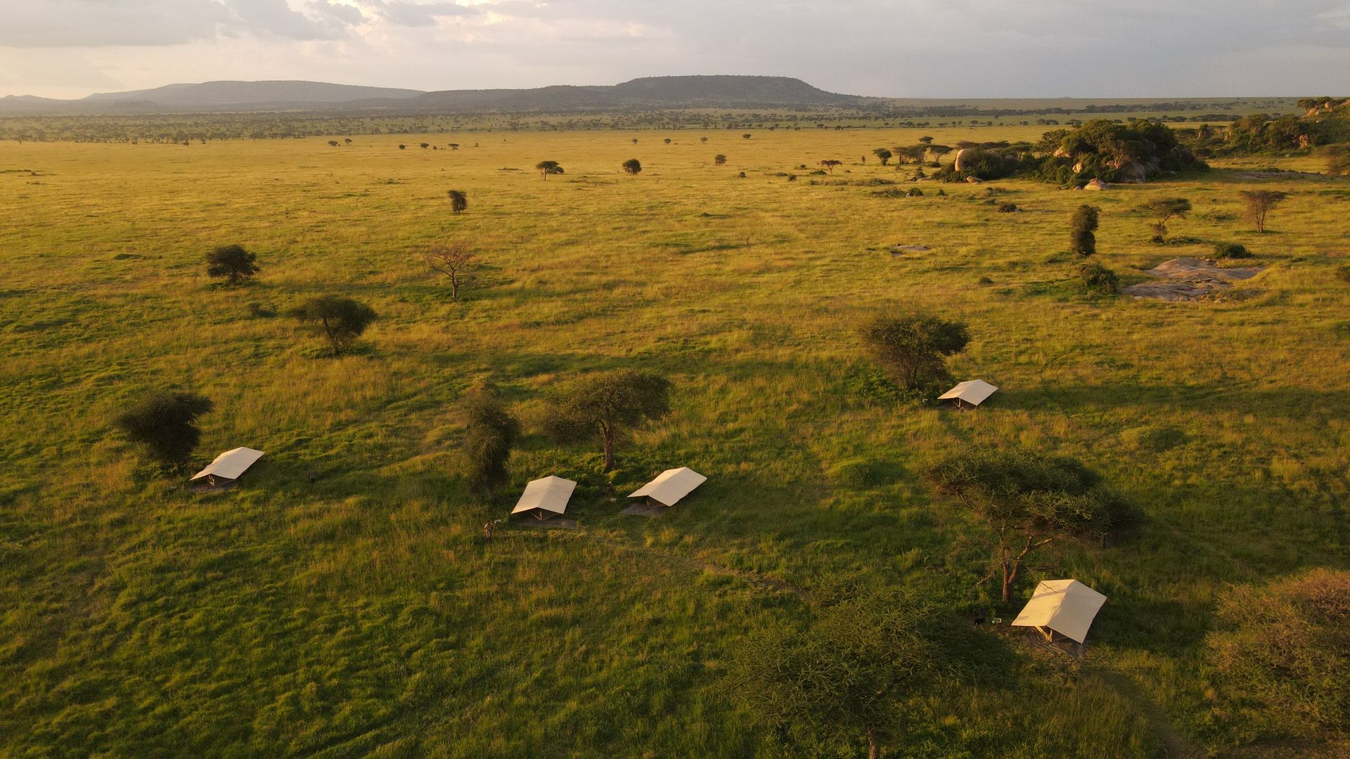 Wayo Walking Camp » Tanzania » Matoke Tours