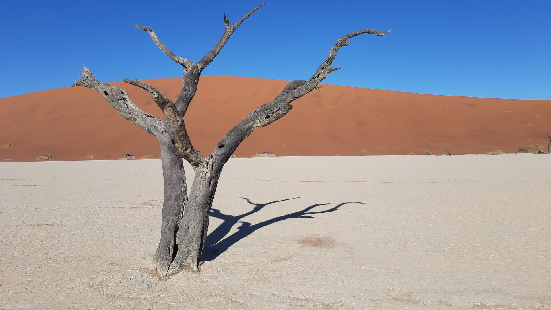 Deadvlei Namibië – Matoke Tours