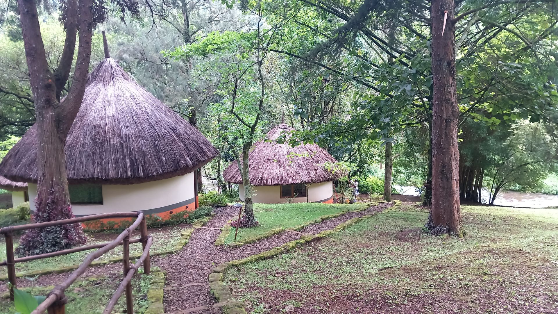 Sipi Heritage Lodge - Banda » Matoke