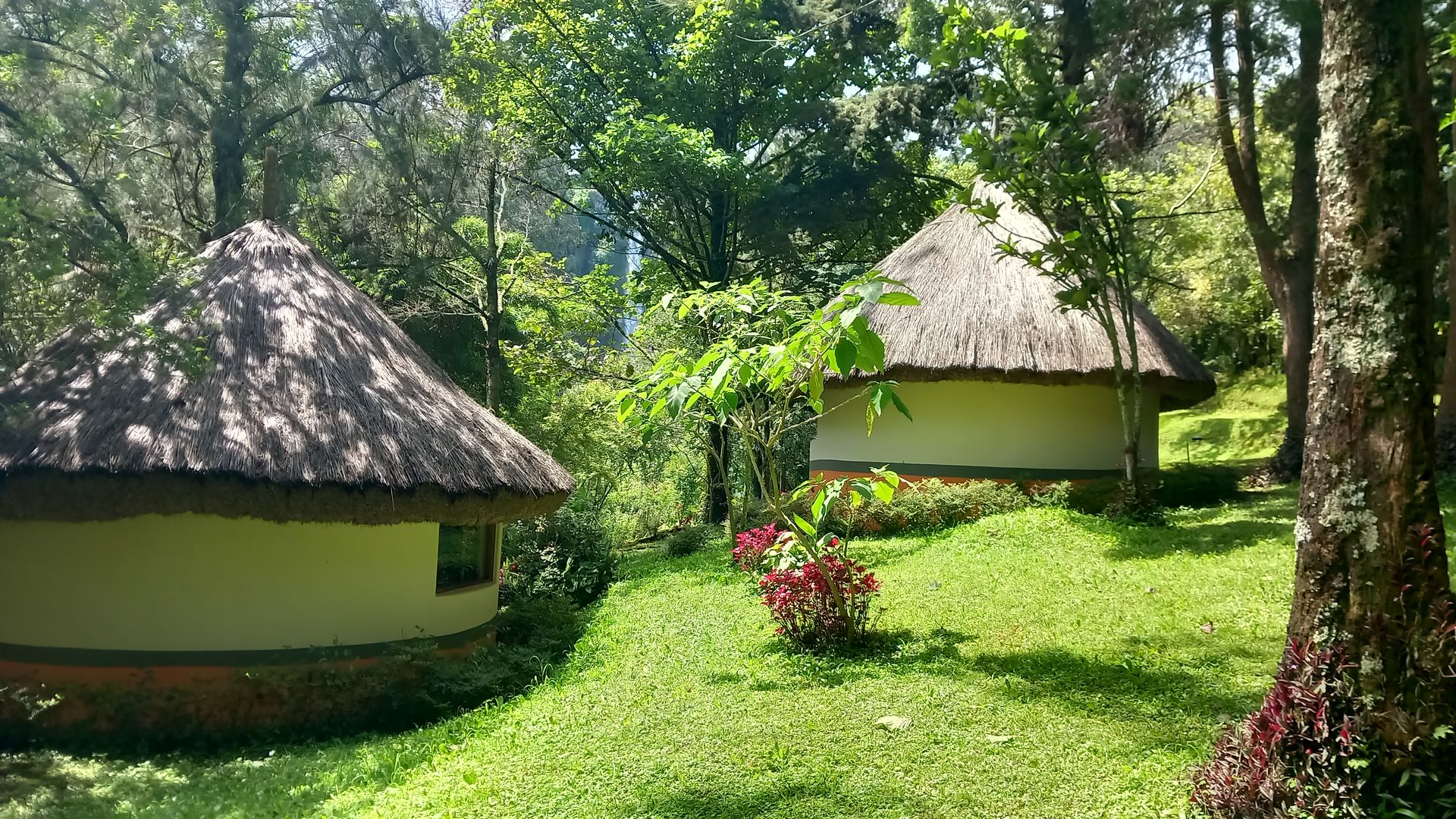 Sipi Heritage Lodge - Banda » Matoke