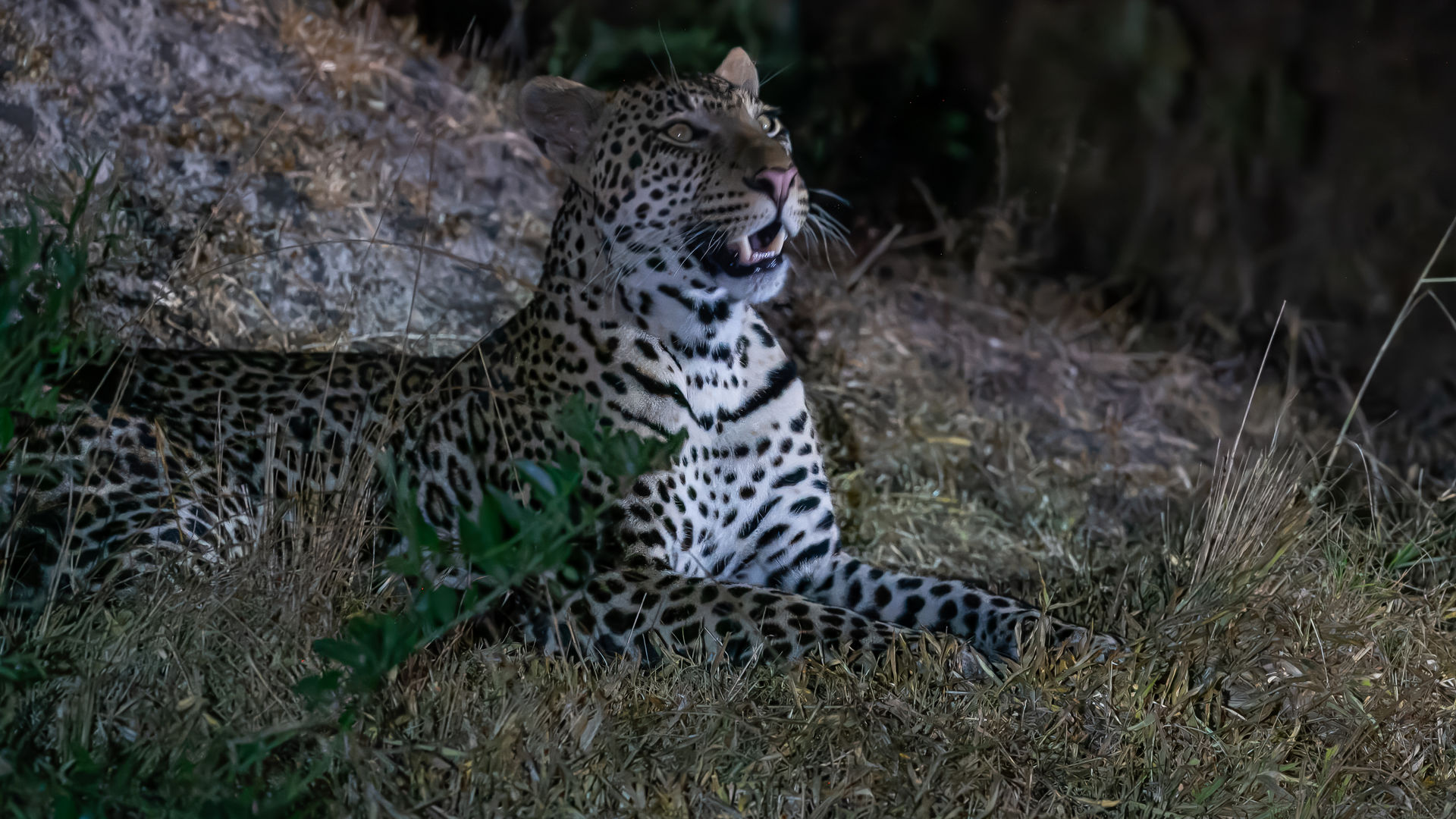 Fotograaf Henk de Groot, vermelden bij gebruik van foto.