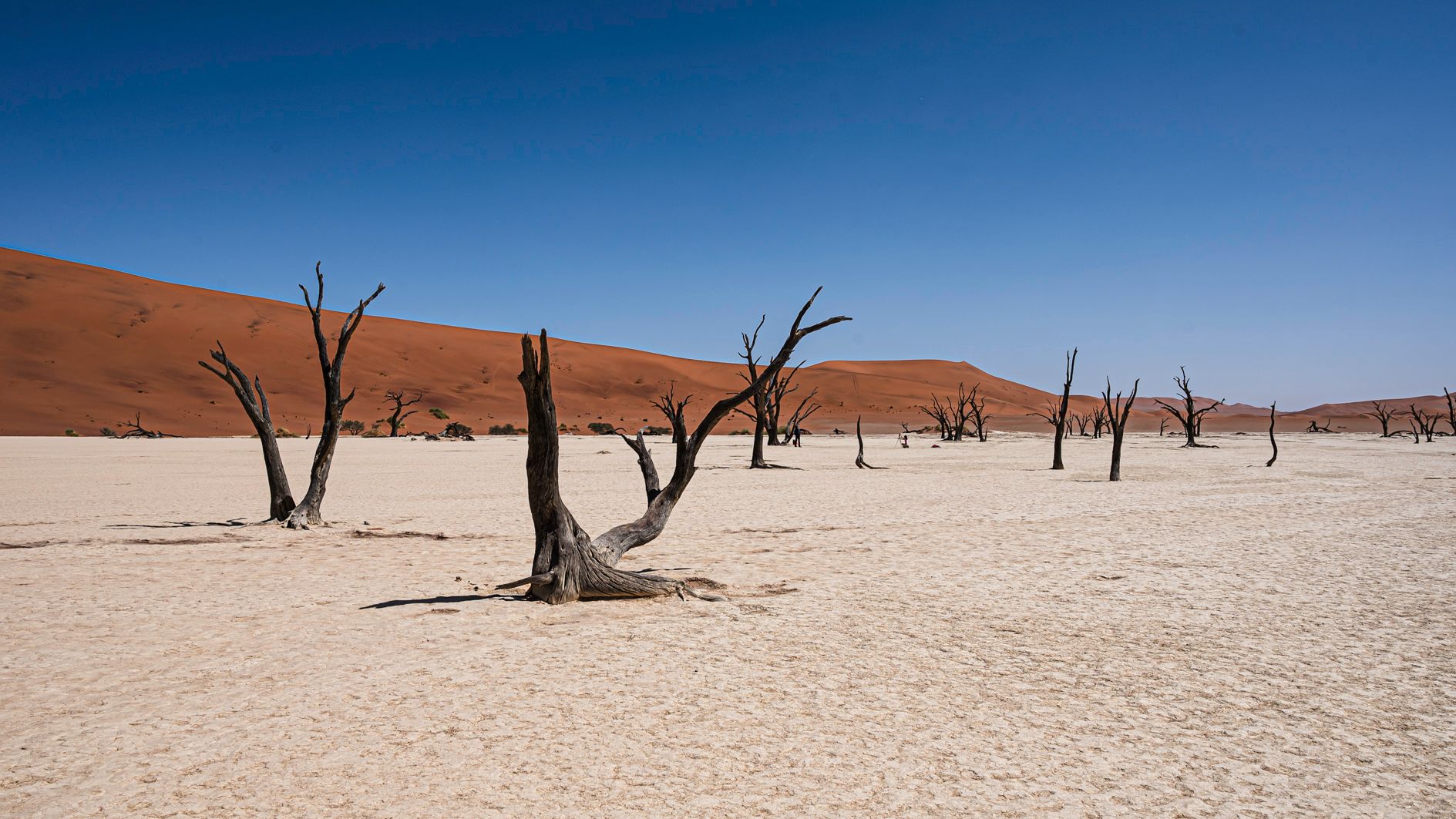 Sossusvlei Namibië - Matoke Tours