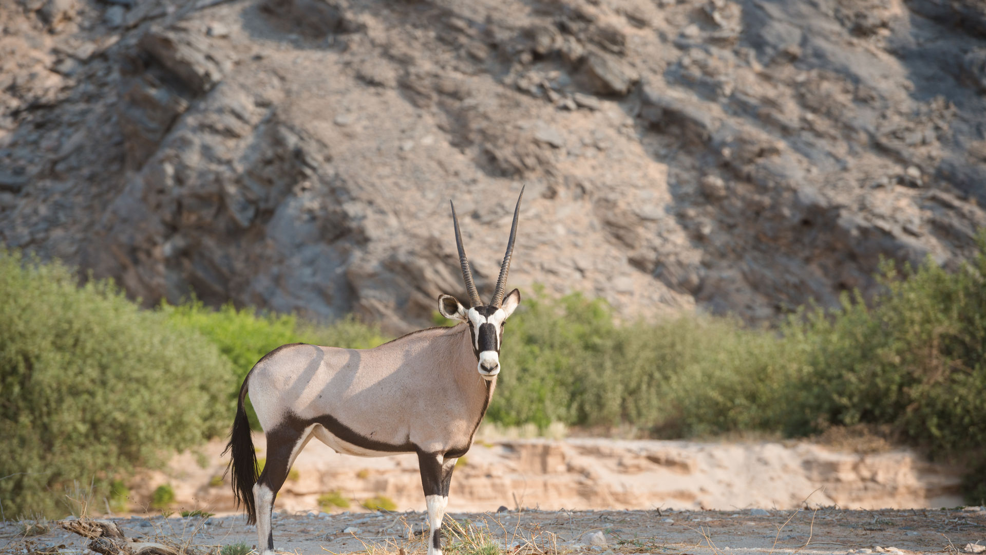 Namibie rondreis lodges | luxe lodges reis door Namibie