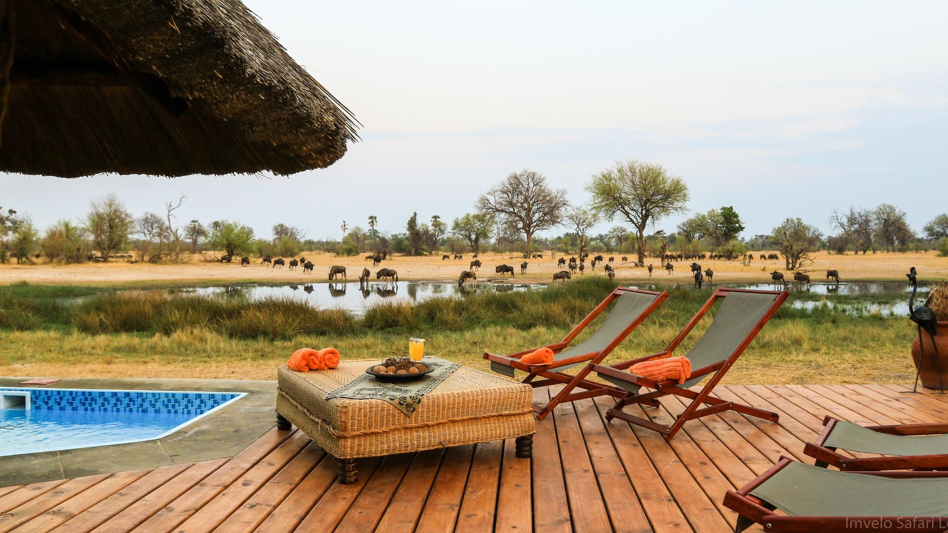 Bomani Tented Lodge » Matoke