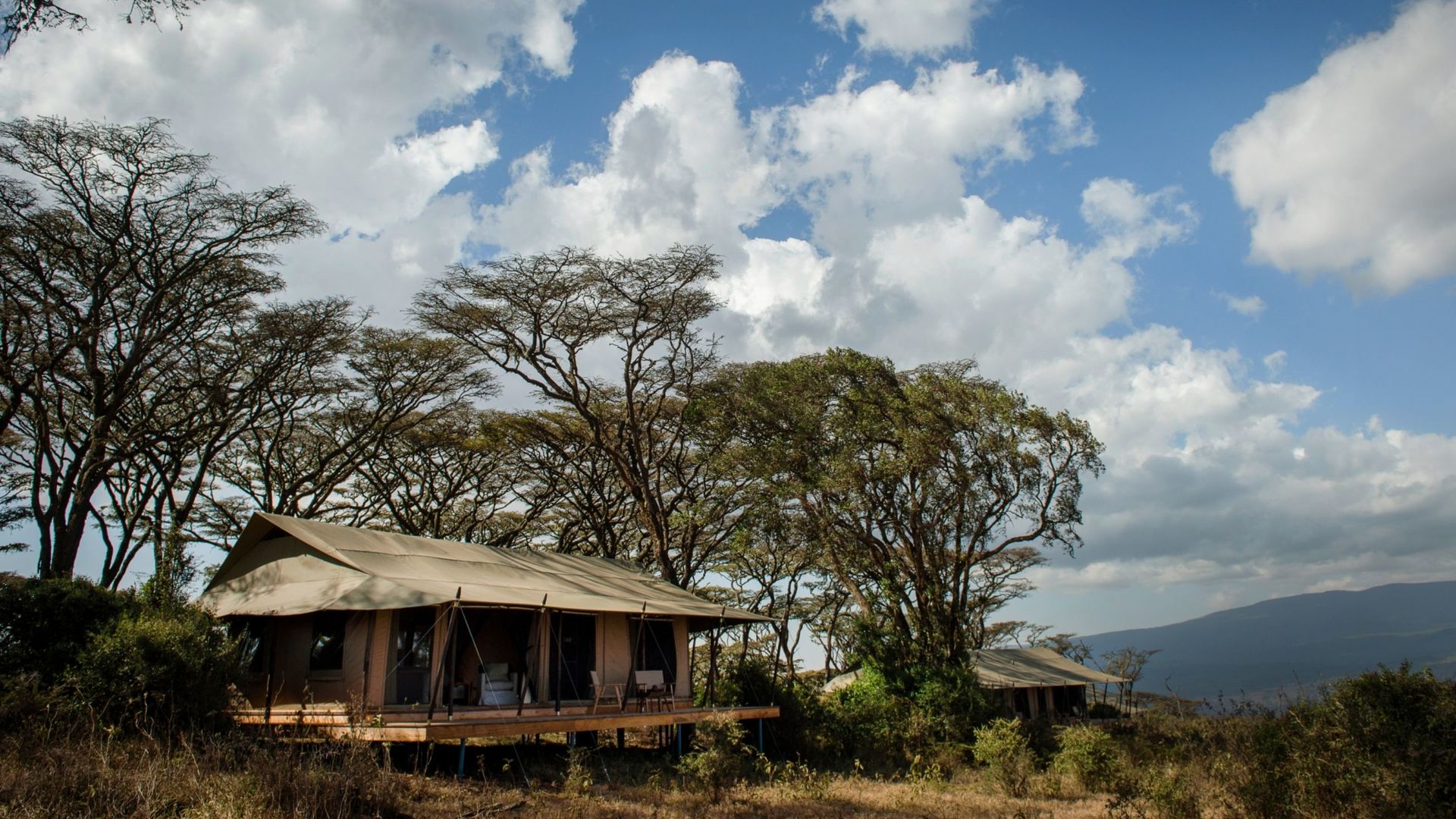 Nomad Entamanu Ngorongoro » Matoke