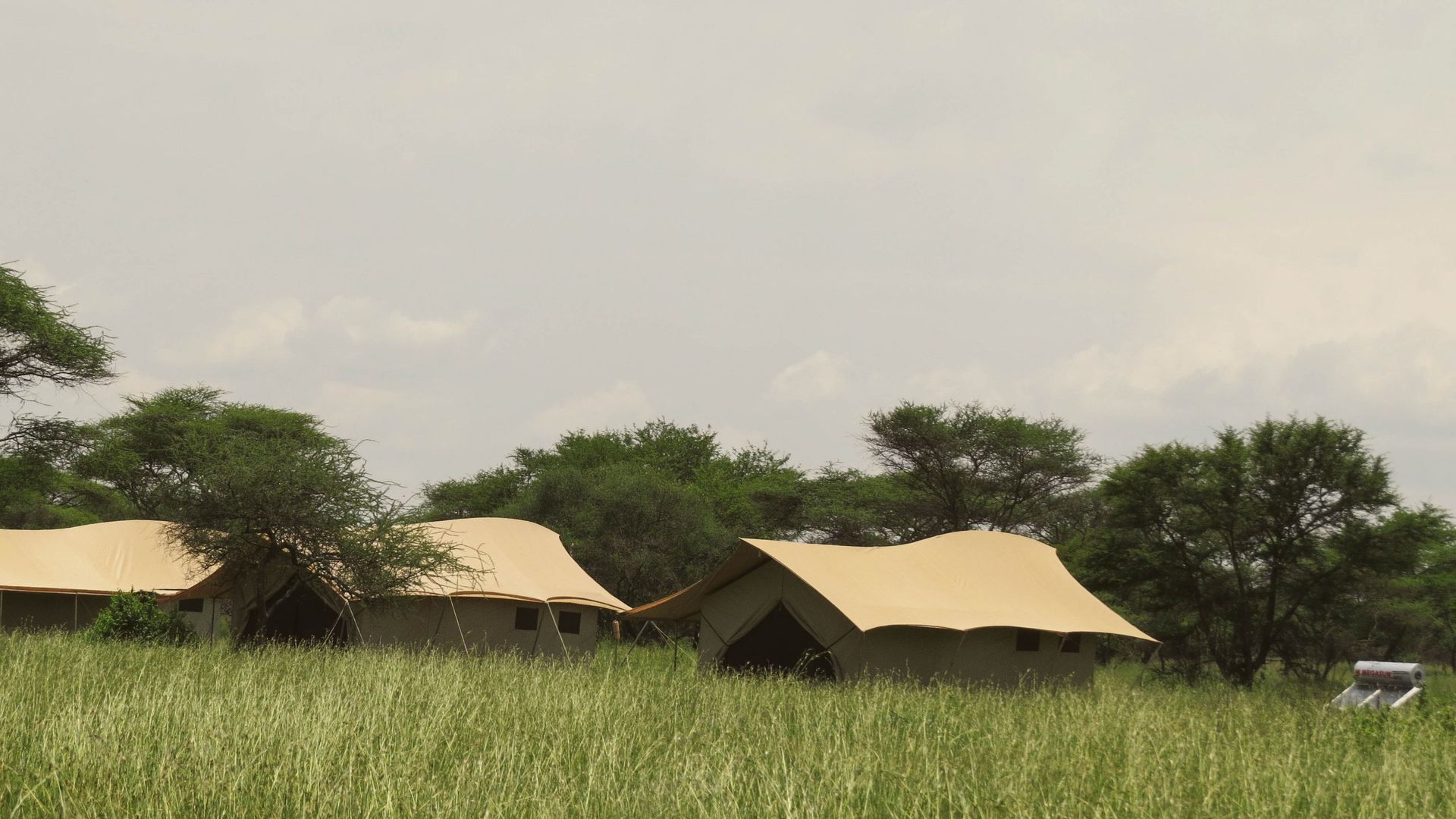 Pamoja Migration Camp » Matoke