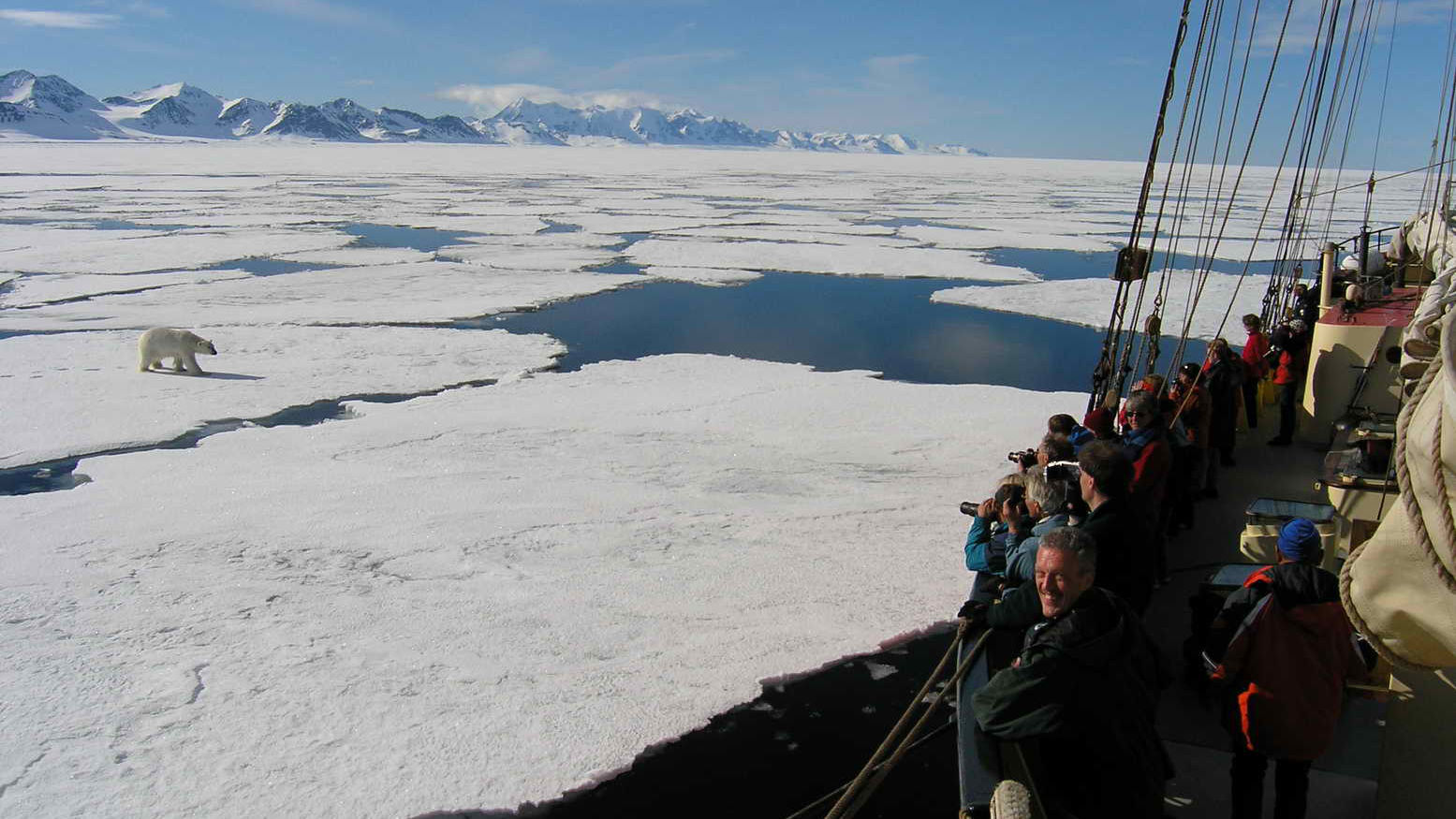 Expeditie passagiersschip Plancius » Matoke