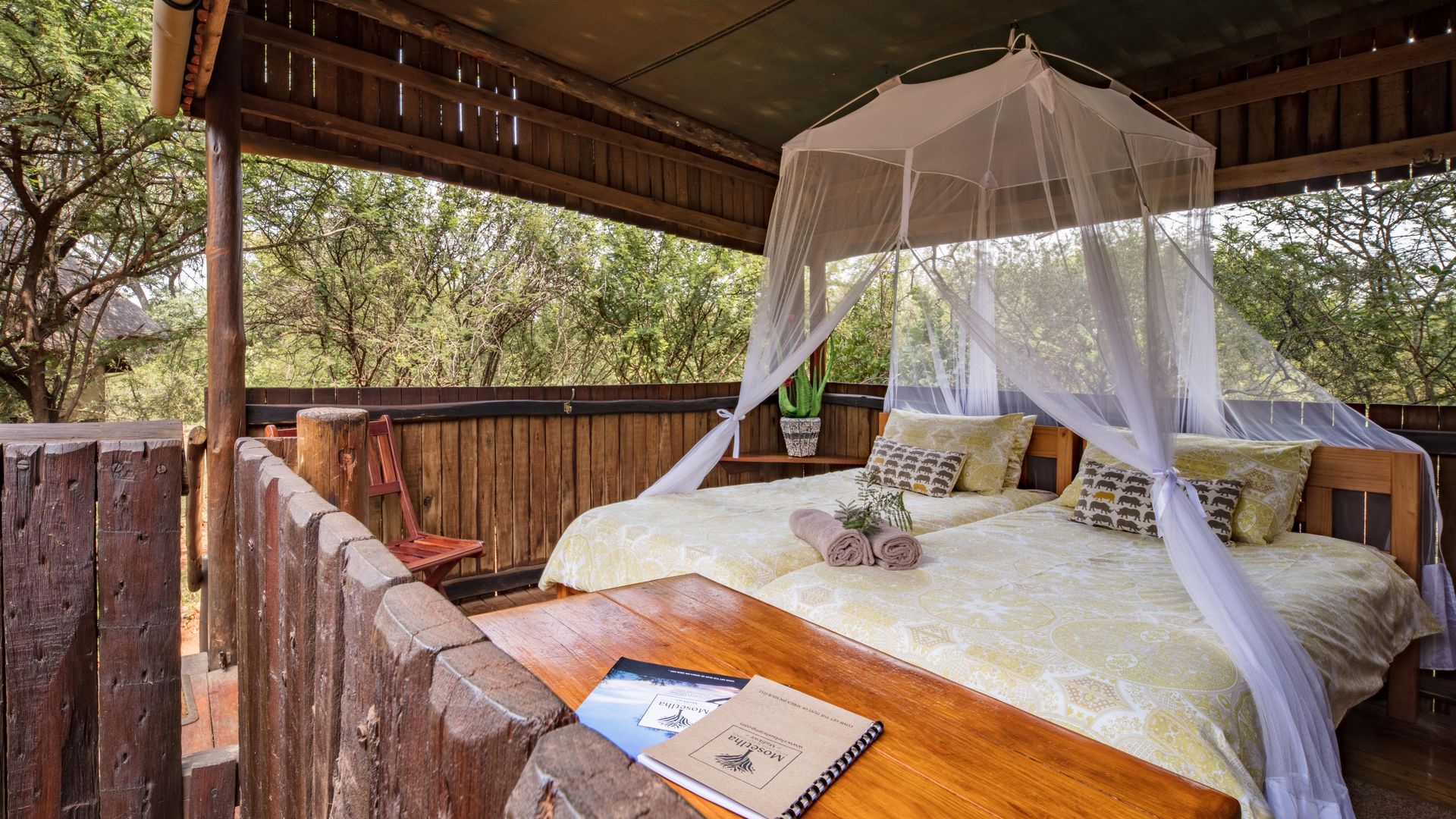 Mosetlha Bush Camp & Eco Lodge » Matoke