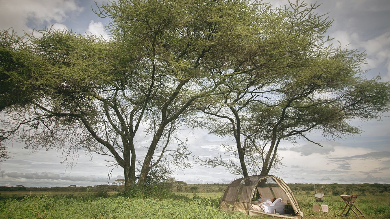 Wayo Walking Camp » Tanzania » Matoke Tours