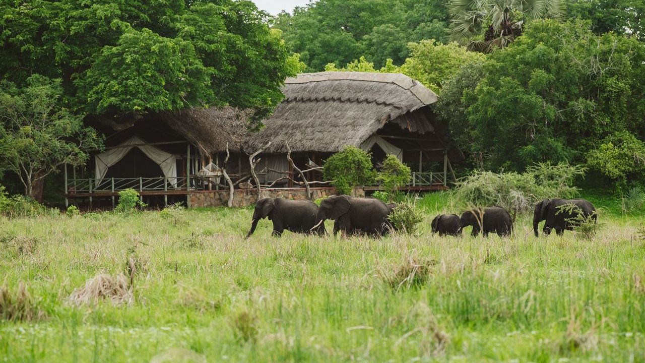 Katavi Wildlife Camp » Matoke