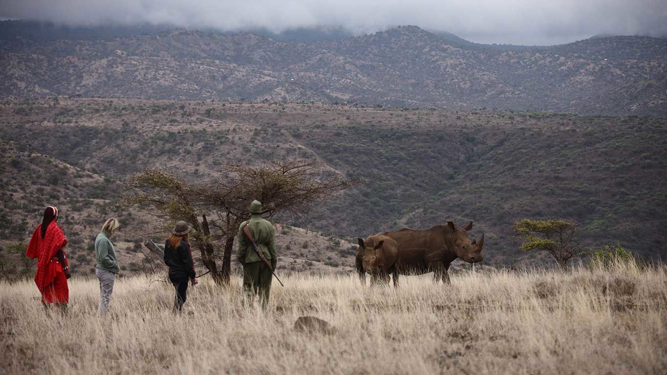 Lewa Safari Camp » Matoke