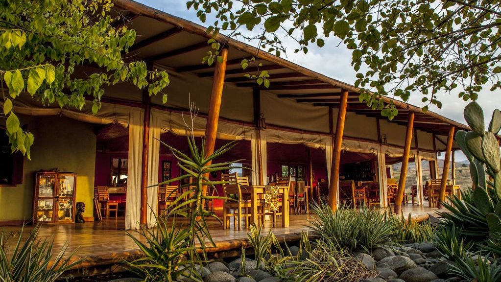 Marafiki Safari Lodge » Matoke