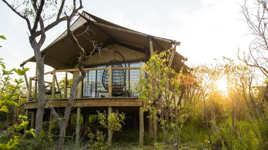 Mdluli Safari Lodge » Matoke