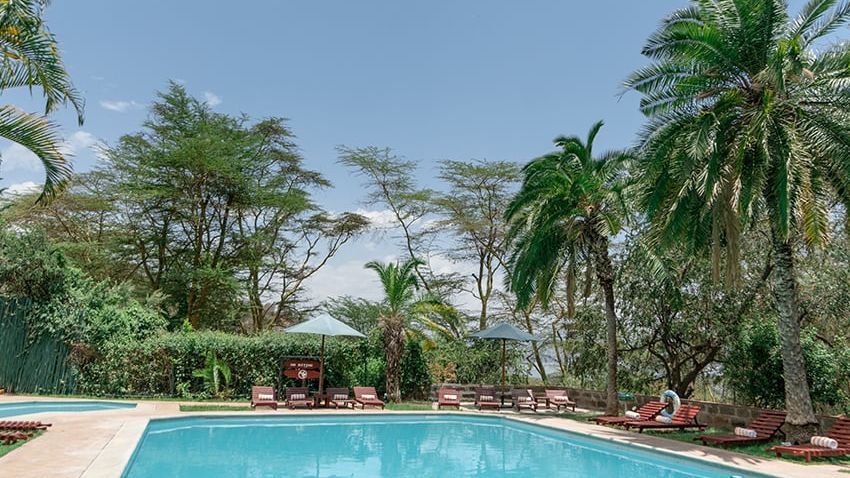 Sarova Lion Hill Game Lodge » Matoke