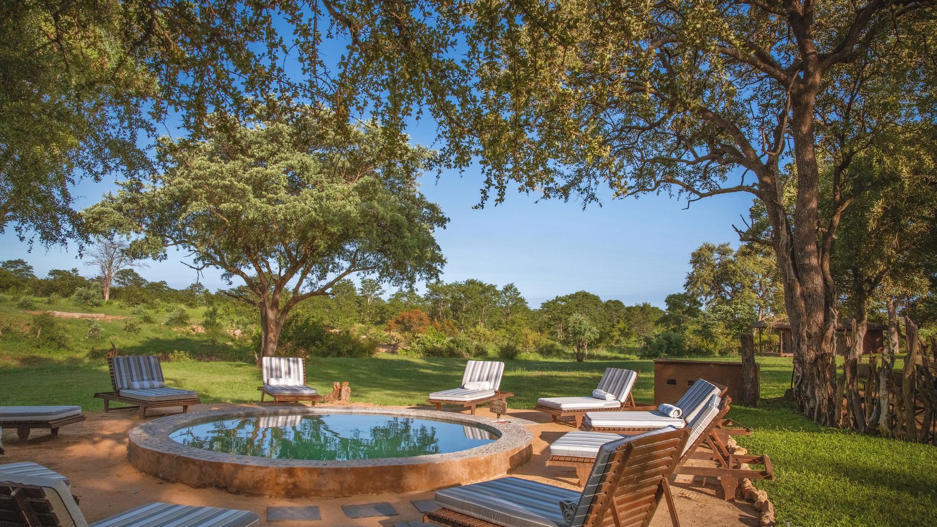 Shindzela Tented Safari Camp » Matoke