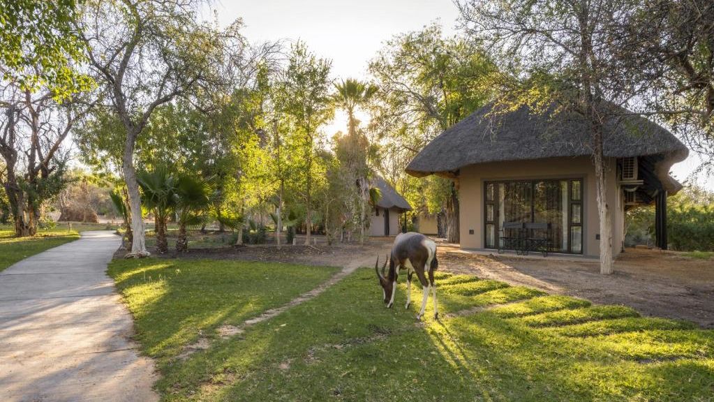 Mokuti Etosha Lodge » Matoke
