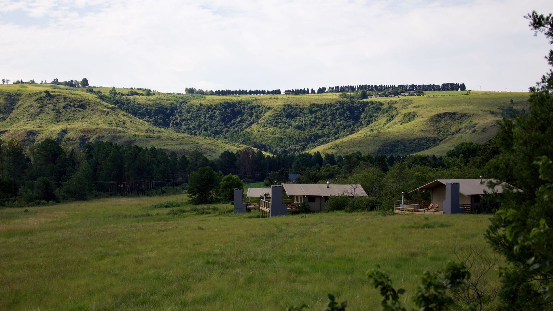 Africamps Champagne Valley » Matoke